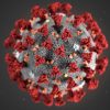 ALERTA EN TAILANDIA POR RÁPIDA PROPAGACIÓN DE VARIANTE XEC DE COVID-19