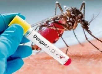 AUMENTAN LOS CASOS DE DENGUE EN EL SALVADOR: MÁS DE 1,100 SOSPECHOSOS Y 45 CONFIRMADOS EN 2025