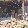 DESPLOME DE PARED DEJA NIÑA LESIONADA EN COLONIA DIVINA PROVIDENCIA 3, SAN VICENTE NORTE
