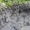 EXPLOSIÓN DE AUSOL EN AHUACHAPÁN GENERÓ ALARMA Y EVACUACIÓN PREVENTIVA