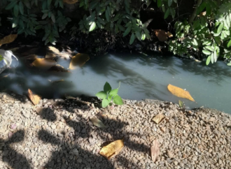 MENOR DE UN AÑO FALLECE TRAS CAER EN FOSA DE DESAGÜE EN SAN PEDRO MASAHUAT