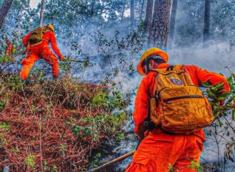 INCENDIOS AUMENTAN EN EL PAÍS: 605 EMERGENCIAS REGISTRADAS EN LOS PRIMEROS 28 DÍAS DEL MES