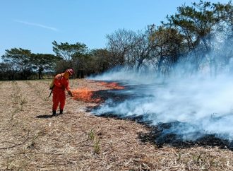 VARIOS INCENDIOS SE REGISTRAN EN DIFERENTES PUNTOS DE EL SALVADOR