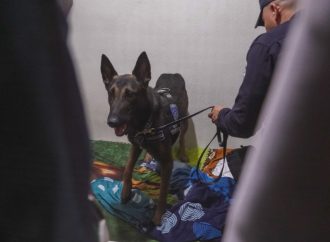 FISCALÍA Y PNC DESARTICULAN ESTRUCTURA INTERNACIONAL VINCULADA AL NARCOTRÁFICO