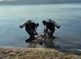 RECUPERAN CUERPO SIN VIDA EN EL LAGO DE ILOPANGO TRAS ALERTA DE TESTIGOS