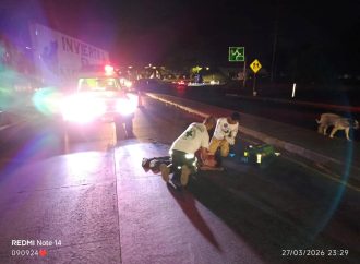 PEATÓN RESULTA GRAVEMENTE LESIONADO TRAS SER ATROPELLADO EN OPICO