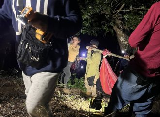 LOCALIZAN A ADULTO MAYOR EXTRAVIADO EN SALCOATITÁN TRAS ATAQUE DE ABEJAS
