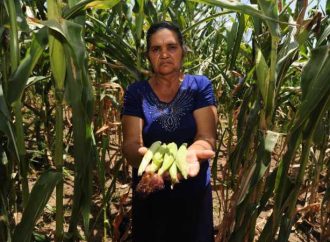 EL FENOMENO DEL NIÑO PROVOCARÁ MENOS LLUVIAS Y RETRASO DEL INVIERNO EN EL SALVADOR, ADVIERTE PROTECCIÓN CIVIL