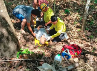 HOMBRE GRAVEMENTE LESIONADO TRAS CAER DE UN ÁRBOL EN TONACATEPEQUE