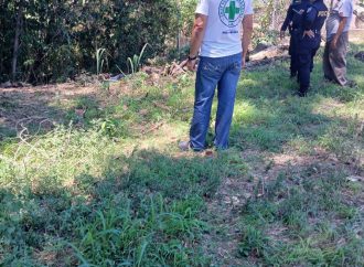 MUJER MUERE TRAS SER IMPACTADA POR RAMA MIENTRAS PODABA UN ÁRBOL EN SUCHITOTO