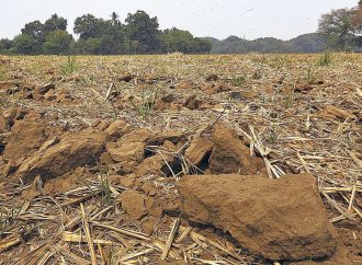 EL FENÓMENO DE EL NIÑO IMPACTARÁ A EL SALVADOR CON MENOS LLUVIAS Y MÁS CALOR