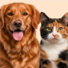 EL CALOR TAMBIÉN AFECTA A LAS MASCOTAS: CÓMO PREVENIR GOLPES DE CALOR EN PERROS Y GATOS