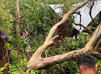ÁRBOL COLAPSA SOBRE VIVIENDA EN TACUBA, AHUACHAPÁN