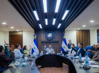 COMISIÓN POLÍTICA ESTUDIA REFORMAS ELECTORALES Y CAMBIOS RELACIONADOS CON LA DIÁSPORA SALVADOREÑA
