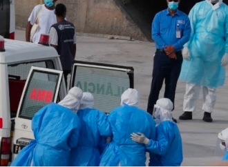 CHILE REPORTA AUMENTO DE CASOS DE HANTAVIRUS DURANTE 2026