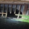 LOCALIZAN A 19 MIGRANTES MEXICANOS OCULTOS EN TÚNELES DE DRENAJE EN LA FRONTERA CON ESTADOS UNIDOS