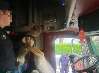PNC REPORTA CAPTURA DE HOMBRE TRAS INCAUTACIÓN DE MARIHUANA DURANTE INSPECCIÓN VEHICULAR