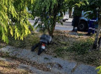 MOTOCICLISTA MUERE TRAS IMPACTAR CONTRA UN ÁRBOL EN LA CARRETERA DE ORO