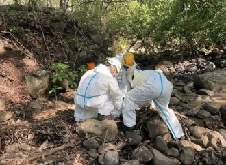 RECUPERARON UN CUERPO SIN VIDA EN EL RÍO EL ZAPOTE, EN EL PAISNAL