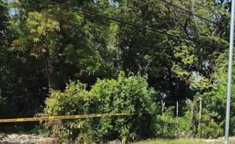 LOCALIZARON HOMBRE SIN VIDA EN PREDIO BALDÍO DE USULUTÁN ESTE