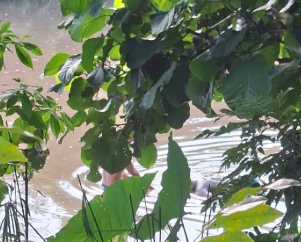 LOCALIZAN DOS CUERPOS SIN VIDA EN RÍOS DE LA LIBERTAD Y SONSONATE