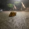 MARN ADVIERTE ALTA PROBABILIDAD DE INUNDACIONES Y CRECIDAS DE RÍOS EN DISTINTAS ZONAS DEL PAÍS