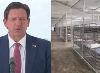 FLORIDA CERRARÁ EL CENTRO DE DETENCIÓN MIGRATORIA “ALLIGATOR ALCATRAZ” TRAS QUEDAR SIN DETENIDOS