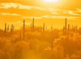AUTORIDADES EMITEN ALERTA POR INTENSA OLA DE CALOR EN VARIOS ESTADOS DE EE. UU.