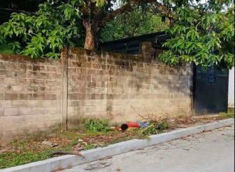 IDENTIFICAN A HOMBRE QUE FALLECIÓ TRAS CAER DE UN ÁRBOL DE AGUACATE EN CHALATENANGO