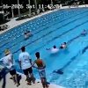 AGENTE DE ICE SALVA LA VIDA DE UN NIÑO DE SEIS AÑOS TRAS RESCATARLO DE UNA PISCINA EN FLORIDA