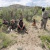 PATRULLA FRONTERIZA DETIENE A CUATRO MIGRANTES INDOCUMENTADOS EN TEXAS; OTROS DOS HUYERON HACIA EL DESIERTO