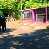 ENCUENTRAN A UNA PERSONA FALLECIDA EN EL CANTÓN EL ROBLE, AHUACHAPÁN