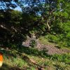LOCALIZAN CUERPO SIN VIDA EN EL RÍO ACAHUAPA, EN SAN VICENTE SUR