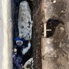HALLAZGO ARQUEOLÓGICO EN ANTIGUO CUSCATLÁN REVELARÍA RESTOS HUMANOS DE HACE CASI 3,000 AÑOS