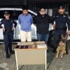CAPTURARON A CUATRO PRESUNTOS INTEGRANTES DE ESTRUCTURA DEDICADA AL TRÁFICO DE DROGAS ENTRE SAN SALVADOR Y CHALATENANGO
