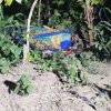 GUATEMALA; CONMOCIÓN EN HUEHUETENANGO TRAS EL HALLAZGO SIN VIDA DE UNA ADOLESCENTE Y SU ABUELO