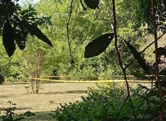 ENCUENTRAN A UN HOMBRE SIN VIDA EN UN ÁRBOL EN SAN PEDRO MASAHUAT