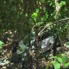 CAE CON SU VEHÍCULO A UN ABISMO DE 25 METROS Y SOBREVIVE EN JUCUARÁN, USULUTÁN