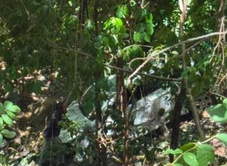 CAE CON SU VEHÍCULO A UN ABISMO DE 25 METROS Y SOBREVIVE EN JUCUARÁN, USULUTÁN