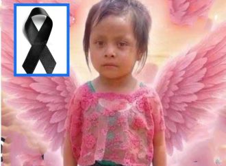 NIÑA DE 4 AÑOS MUERE TRAS SER MORDIDA POR UNA SERPIENTE BARBA AMARILLA EN GUATEMALA