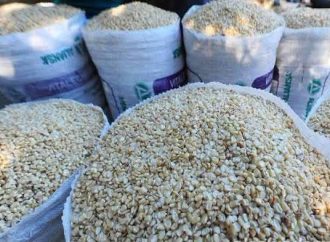 EL MAÍZ BLANCO ALCANZA HASTA $36 EL QUINTAL EN EL SALVADOR