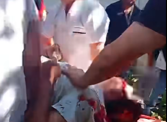 TRES PERSONAS RESULTARON LESIONADAS TRAS CAÍDA DE ÁRBOL EN INSTALACIONES DEL MINISTERIO DE TRABAJO