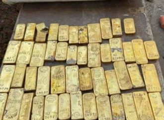 OBREROS ENCUENTRAN TESORO DE $10.4 MILLONES EN BÉLGICA: ¿QUIÉN SE QUEDARÁ CON EL ORO?