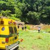 REPORTAN A MENOR DESAPARECIDA TRAS SUFRIR PERCANCE POR INMERSIÓN EN RÍO BANDERAS, SONSONATE