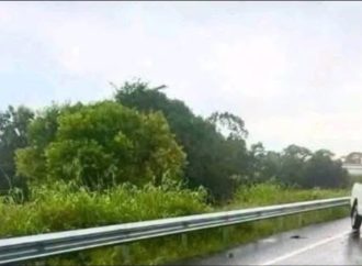 RAYO IMPACTA A MUJER QUE VIAJABA EN MOTOCICLETA Y LE CAUSA LA MUERTE EN GUATEMALA